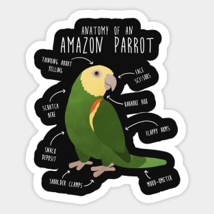 Amazon Parrot Anatomy Sticker